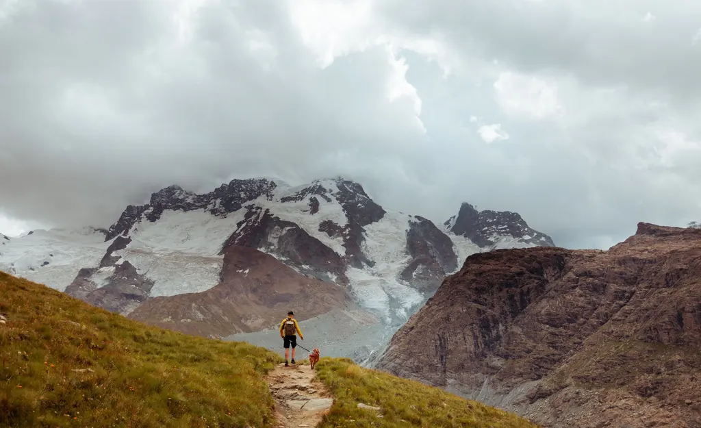 A hiker and their dog pause on a mountain trail facing snow-capped peaks under a cloudy sky.
