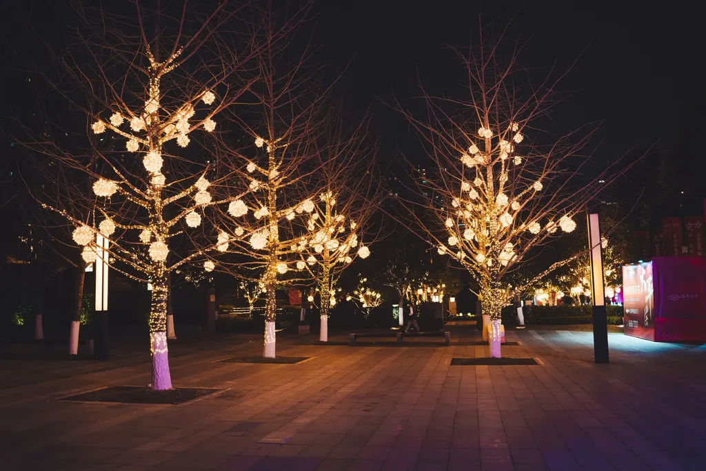 Trees wrapped in warm string lights across a paved plaza at night