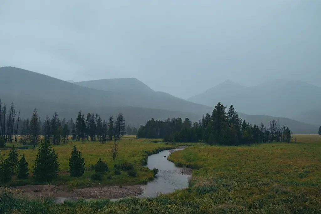 A misty mountain meadow with a winding stream below layered ridgelines under an overcast sky.